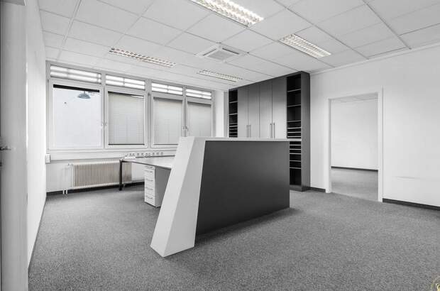 Gewerbeobjekt mieten in 1130 Wien (Bild 1)