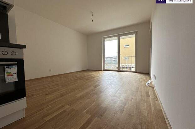 Terrassenwohnung mieten in 8401 Kalsdorf (Bild 5)