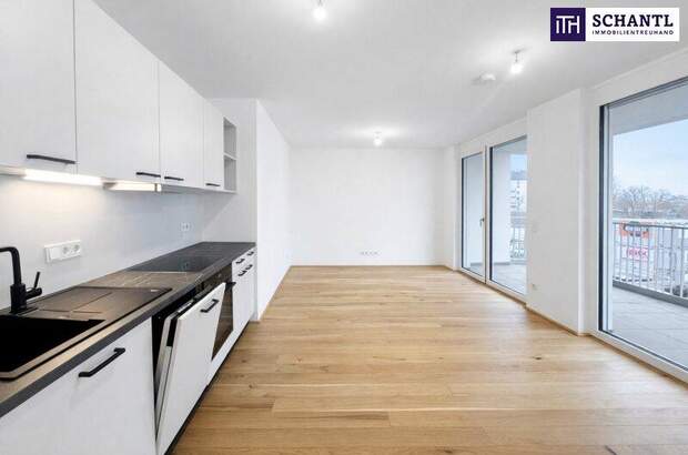 Terrassenwohnung mieten in 1120 Wien (Bild 1)