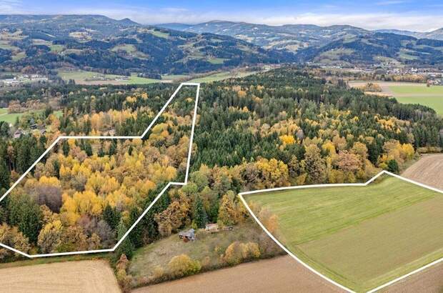 Gewerbeobjekt kaufen in 9431 Reinfelsdorf (Bild 4)