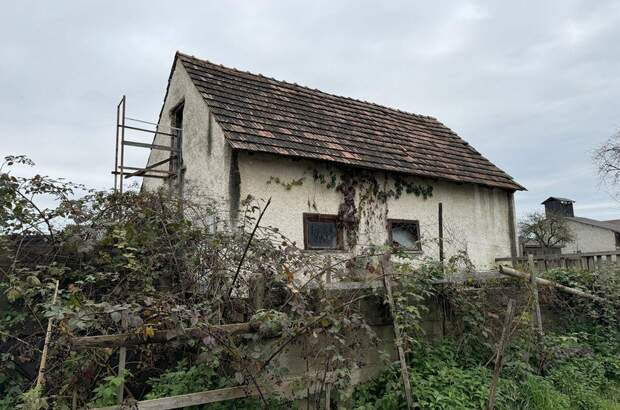 Haus mit Garten kaufen in 8072 Fernitz (Bild 4)