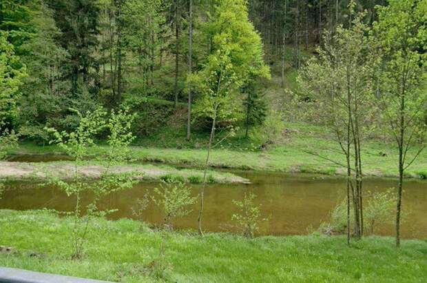 Anlageobjekt kaufen in 4320 Perg (Bild 2)