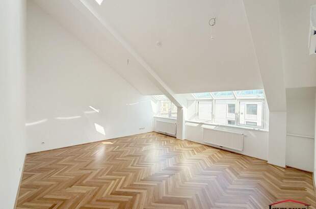 Altbauwohnung mieten in 1010 Wien (Bild 3)