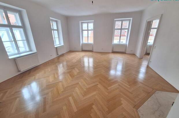Altbauwohnung mieten in 1010 Wien (Bild 5)