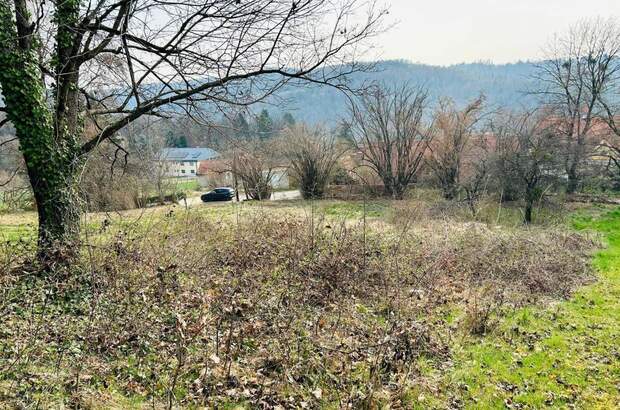 Grundstück kaufen in 8044 Graz (Bild 4)