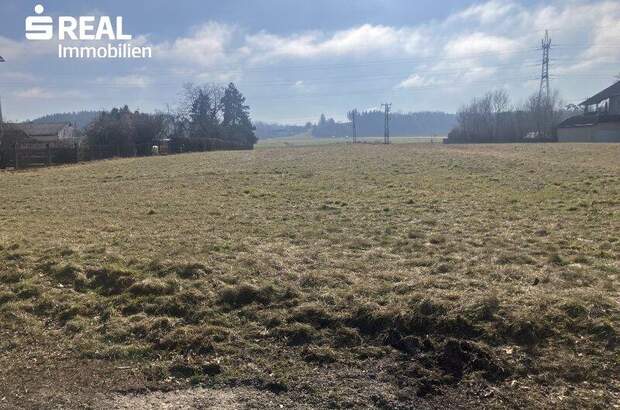 Grundstück kaufen in 3300 Amstetten (Bild 2)