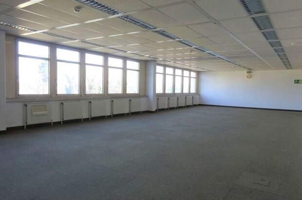 Gewerbeobjekt mieten in 8055 Graz (Bild 4)