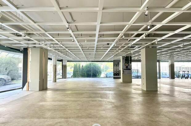 Gewerbeobjekt mieten in 4020 Linz (Bild 1)