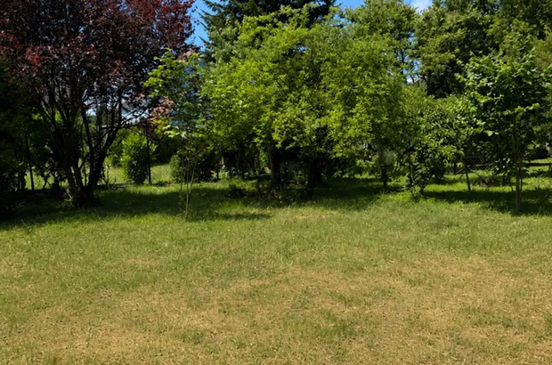 Grundstück kaufen in 2380 Perchtoldsdorf (Bild 1)