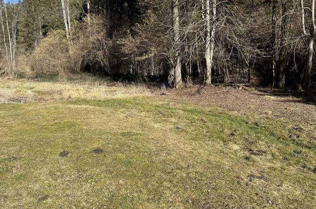 Haus kaufen in 9361 St. Salvator (Bild 4)