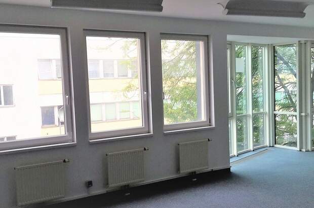 Gewerbeobjekt mieten in 1110 Wien (Bild 5)