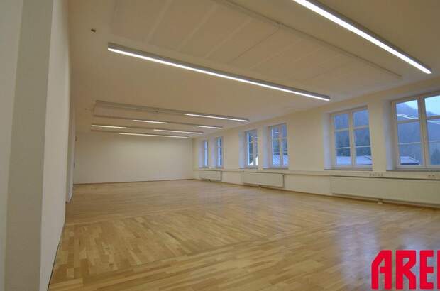 Gewerbeobjekt mieten in 4040 Linz (Bild 4)