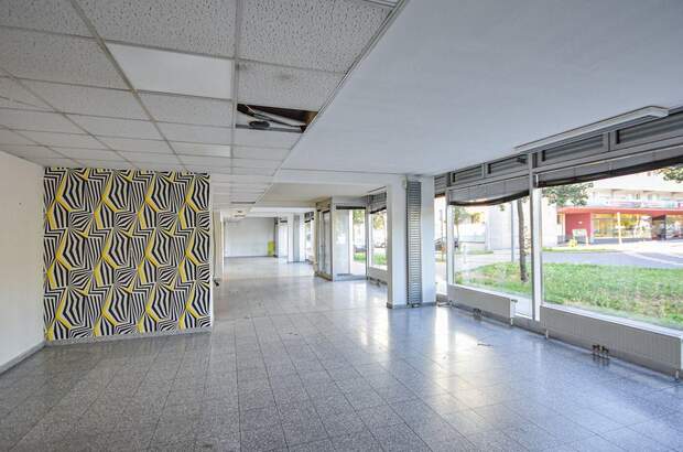 Gewerbeobjekt mieten in 1230 Wien (Bild 2)