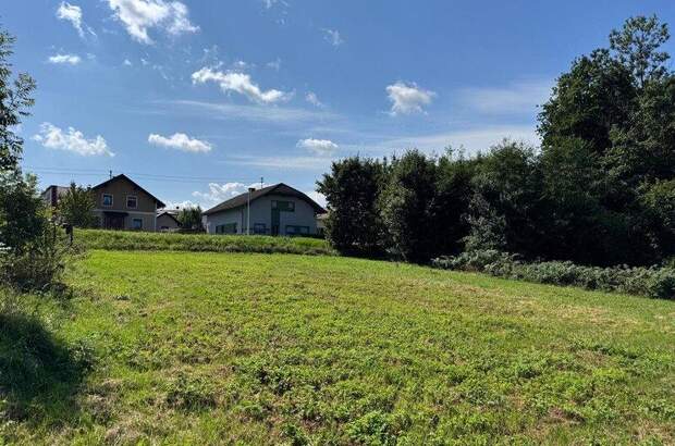 Grundstück kaufen in 4770 Andorf (Bild 4)