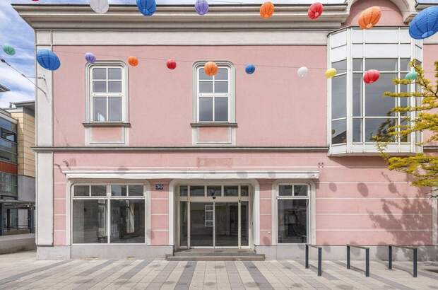 Gewerbeobjekt mieten in 2700 Wiener Neustadt (Bild 2)