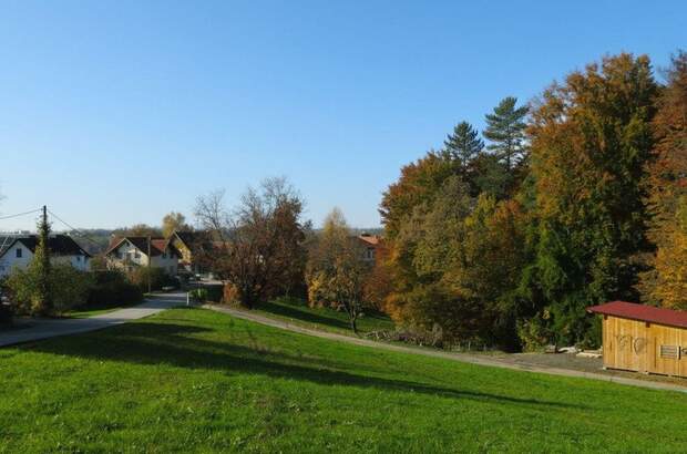 Grundstück kaufen in 8503 Sankt Josef (Bild 5)