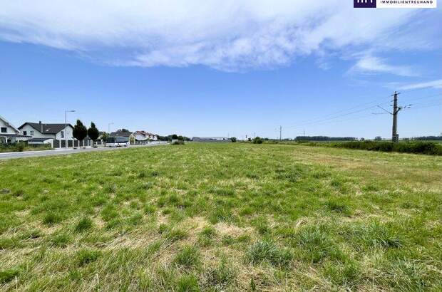 Grundstück kaufen in 2441 Mitterndorf (Bild 4)