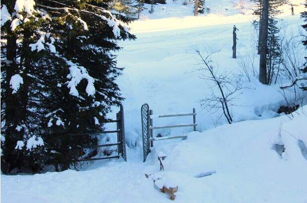 Haus kaufen in 8864 Turrach (Bild 5)