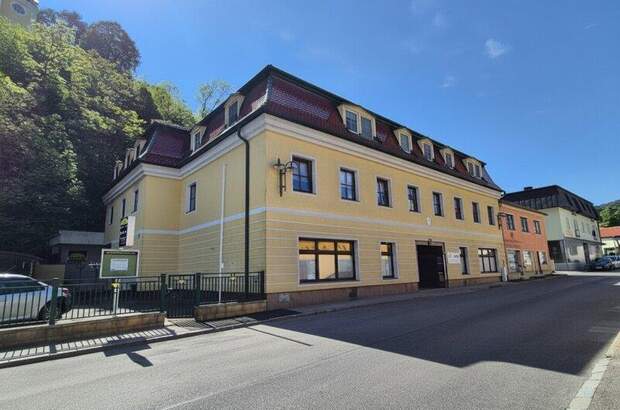 Terrassenwohnung mieten in 2823 Pitten (Bild 1)