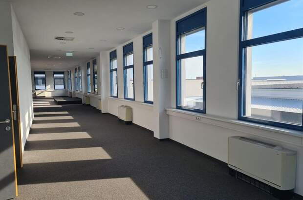 Gewerbeobjekt mieten in 1230 Wien (Bild 2)