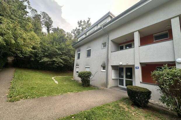 Terrassenwohnung kaufen in 4470 Enns (Bild 5)