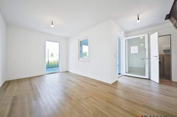 Produktion mieten in 3425 Langenlebarn (Bild 4)