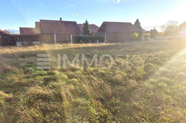 Grundstück kaufen in 4064 Oftering (Bild 4)