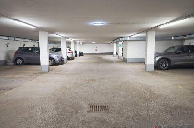 Halle / Lager / Produktion mieten in 1190 Wien (Bild 2)