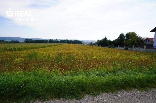 Grundstück kaufen in 3430 Frauenhofen (Bild 4)