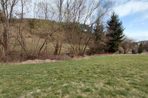 Grundstück kaufen in 2803 Schwarzenbach (Bild 4)
