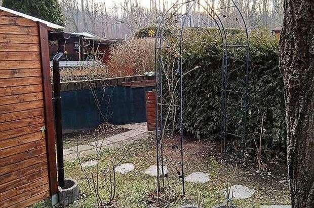 Haus mit Garten kaufen in 3061 Schönfeld (Bild 4)