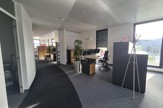 Gewerbeobjekt mieten in 5101 Bergheim (Bild 3)