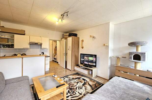 Wohnung mieten in 5082 Grödig (Bild 1)
