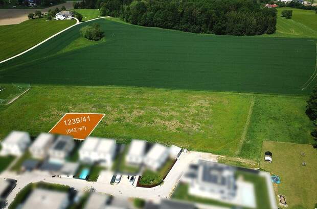 Haus kaufen in 4223 Ruhstetten (Bild 2)