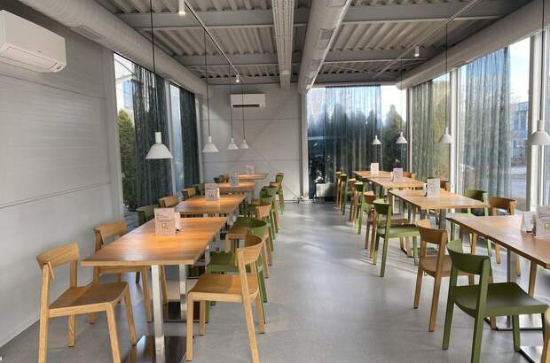 Gewerbeobjekt mieten in 2320 Schwechat (Bild 2)