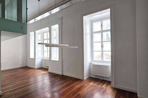 Gewerbeobjekt mieten in 1010 Wien (Bild 4)