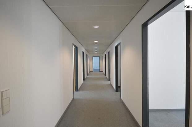 Gewerbeobjekt mieten in 1050 Wien (Bild 4)