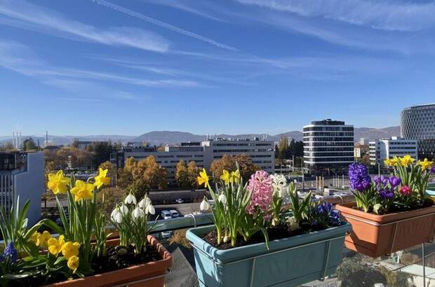 Mietwohnung in 8010 Graz (Bild 1)