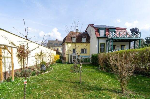 Haus kaufen in 2344 Maria Enzersdorf (Bild 3)