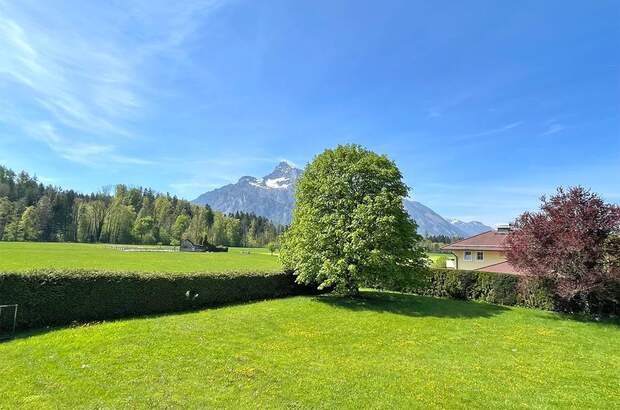 Grundstück kaufen in 5020 Salzburg (Bild 4)