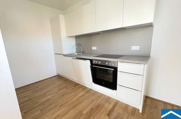 Terrassenwohnung mieten in 1110 Wien (Bild 3)
