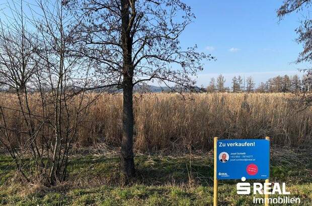 Grundstück kaufen in 5280 Braunau (Bild 1)