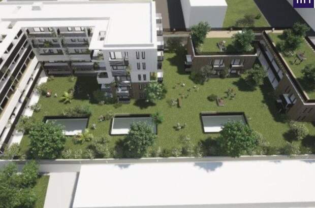 Gewerbeobjekt mieten in 8053 Graz (Bild 4)