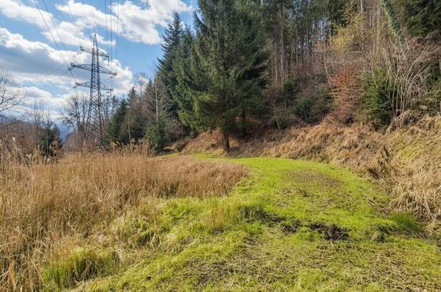 Grundstück kaufen in 8132 Pernegg (Bild 5)