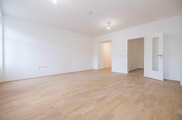 Mietwohnung in 2700 Wr. Neustadt (Bild 2)