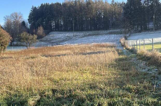 Grundstück kaufen in 4943 Geinberg (Bild 3)