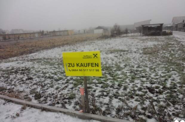 Grundstück kaufen in 7083 Purbach (Bild 2)