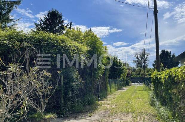 Einfamilienhaus kaufen in 1220 Wien (Bild 2)