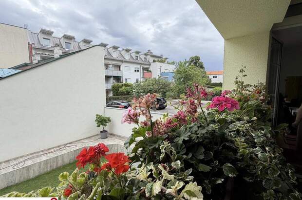 Wohnung mit Balkon kaufen in 2340 Mödling (Bild 5)