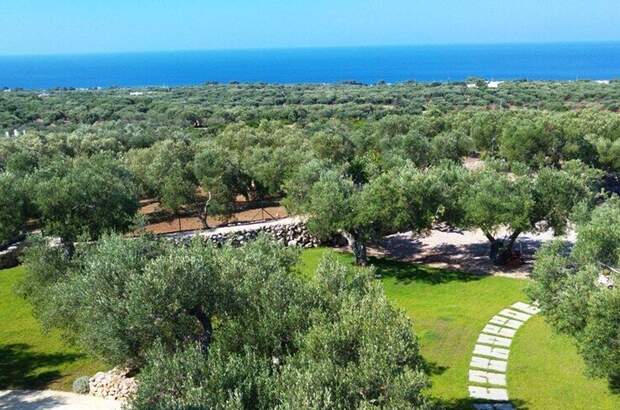 Haus mit Garten kaufen in 73040 Santa Maria di Leuca (Bild 5)